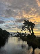 Top Lège-Cap-Ferret