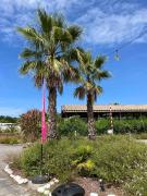 Top Lège-Cap-Ferret