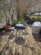 Top Prats-de-Mollo-la-Preste