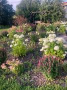 Top Kielce Top Kielce