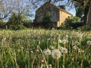 Grande chambre renaissance