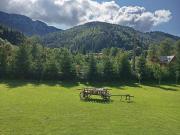 Top Ciocanu Top Ciocanu