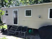 Badgers nestled in a cozy corner of the park