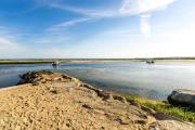 Top Barnstable