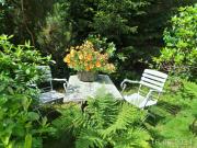 Top Dziwiszów Top Dziwiszów