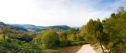 Top Poggio
