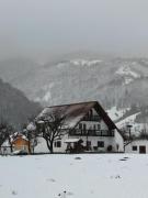 Căsuța dintre Meri