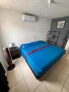 Top Veracruz Top Veracruz