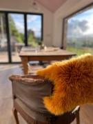 The Bw thyn - Ceredigion