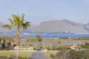 Top Alcudia