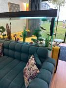 Appartement à Dar bouaaza