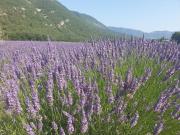 Gîte de la Tour Carrée