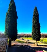 Top Divšići Top Divšići