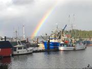 Top Ucluelet