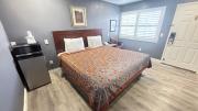 Top Santa Cruz