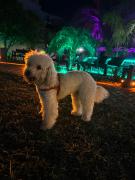 Hotel Termal Emperatriz Termas de Río Hondo