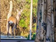 6 person holiday home in Thisted 6 person holiday home in Thisted