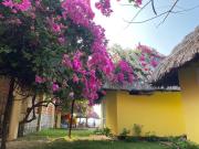 Orchid Boutique Beach Resort