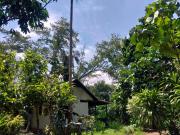 Musas Garden Lodge Tambopata