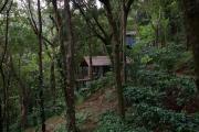 Deva Dhare Resort Deva Dhare Resort