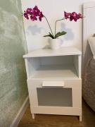 Neue Orchideen-apartments Im Haus