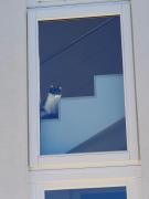 Top Villaggio Azzurro