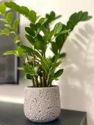 Top Ksamil Top Ksamil