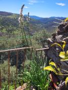 Top Miranda del Castañar