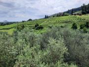 Top San Quirico di Moriano