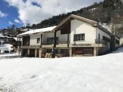Top Fiesch