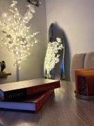 استديو فاخر موقع مميز جداً