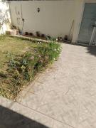 Villa foundou gammarth Villa foundou gammarth