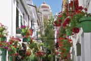 Top Estepona