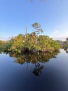 Top Port Charlotte