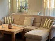 "Lachmöwe" im Möwennest Greetsiel