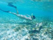 Top Gili Trawangan