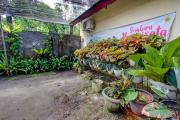 Hotel O Inn Homestay