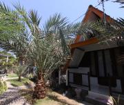 Top Tanjung