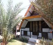 Top Tanjung
