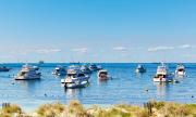 Top Wyspa Rottnest