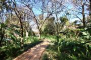 Top Johannesburg