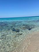 Top Gallipoli