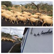 Top São Pedro do Corval