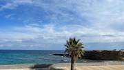Top Monastir