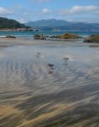 Top Santa Marta de Ortigueira