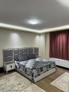 العجوزة شارع الفلوجة