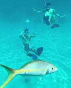 Top Islamorada