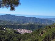 Top Canillas de Aceituno