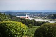Top Gottsdorf