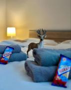 Top Vyšné Ružbachy